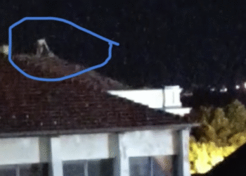 Deca snimljena kako se šetaju po krovovima škole. Uznemireni i građani roditelji, slučaj prijavljen policiji – VIDEO