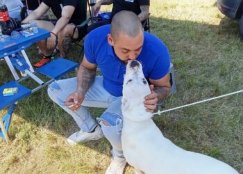 Maza sa snagom boksera: Zavolite dogo argentino