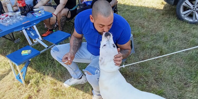 Maza sa snagom boksera: Zavolite dogo argentino