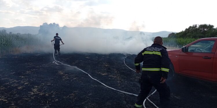 Dačić: Trenutno nema požara, većinom izazvani ljudskim faktorom