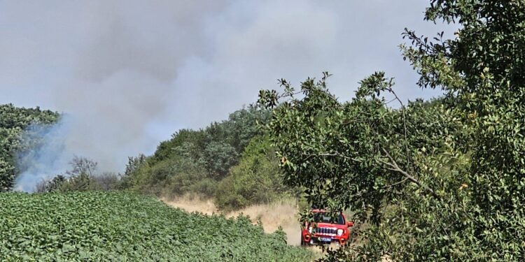 Popović: Svi požari na teritoriji Leskovca ugašeni