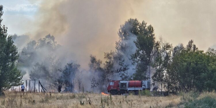 Vatrena stihija ne jenjava: Požari bukte kod Hale sportova i nekoliko sela u okolini Leskovca, uključene sve raspoložive snage