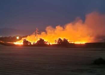 U selu Bogojvce pukao dalekovod i izazvao požar