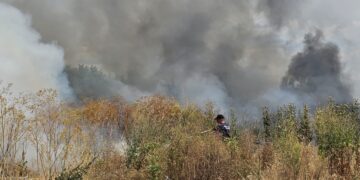 Požar u naselju Slavka Zlatanovića: Gori rastinje i otpad, vatrogasci na terenu