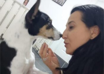 Pansion za pse-spas za vlasnike kućnih ljubimaca: Jedan  takav postoji i u Leskovcu