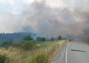 Požari zahvatili i lebansku opštinu, GORI SLIŠANE, vatra se spustila i do Niša – VIDEO