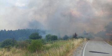 Požari zahvatili i lebansku opštinu, GORI SLIŠANE, vatra se spustila i do Niša – VIDEO