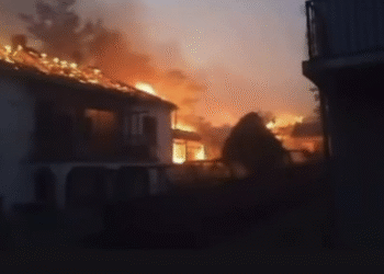 Dubovo traži istinu: „Nismo gasili vinograd, već kuće – i to kantama“