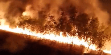 UPRAVO: Plameni obruč se širi između Krivače i Geglje: Šume i voćnjaci nestaju, a vode – nema!