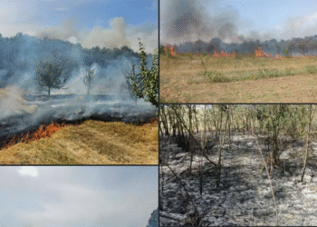 Novi požari u okolini Leskovca: Gori kod Bunuškog Čiflluka, Oraovice i Slavujevca