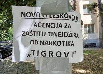 Bez telefona, adrese i zvanične registracije: Ko stoji iza agencije “Tigrovi“, koja, navodno, štiti tinejdžere od narkotika