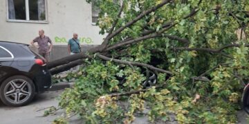Vetar napravio haos po Leskovcu: Pada drveće na sve strane, oborena i bandera – VIDEO