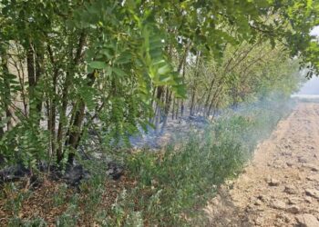Ponovo požari u okolini Leskovca: gori rastinje u atarima Biljanice i Slavujevca