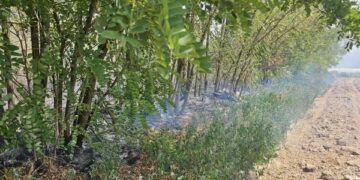 Ponovo požari u okolini Leskovca: gori rastinje u atarima Biljanice i Slavujevca