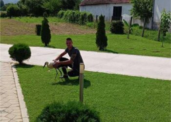 Puli ne zaboravlja ko mu je izvidao rane: Neobično prijateljstvo Marka iz Prilepca i povređenog rodića