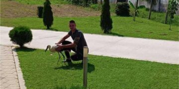 Puli ne zaboravlja ko mu je izvidao rane: Neobično prijateljstvo Marka iz Prilepca i povređenog rodića
