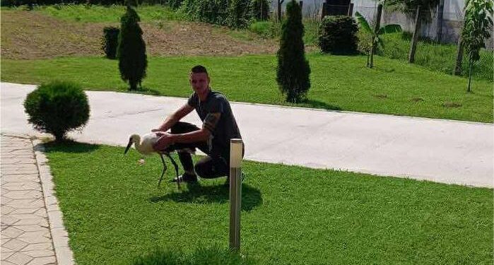 Puli ne zaboravlja ko mu je izvidao rane: Neobično prijateljstvo Marka iz Prilepca i povređenog rodića