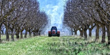 Konkurs za subvencije u poljoprivredi na teritoriji grada Leskovca, otvoren do 21. jula