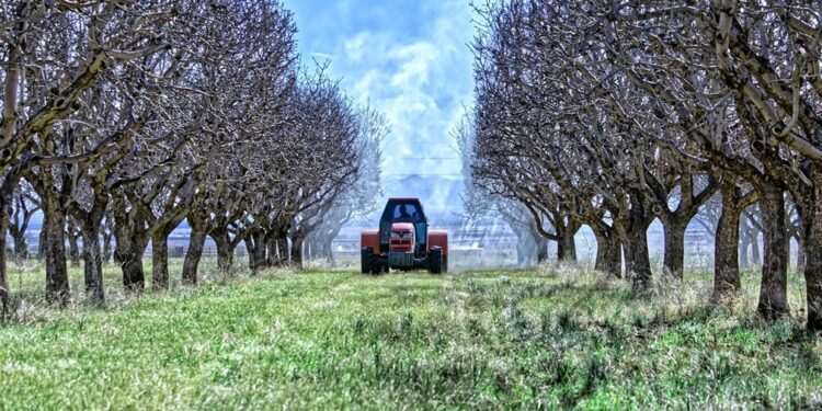 Konkurs za subvencije u poljoprivredi na teritoriji grada Leskovca, otvoren do 21. jula