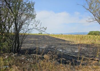 Požar kod Grdeličkog puta nadomak Leskovca: Vatra guta rastinje i otpad, na terenu vatrogasci i civilna zaštita