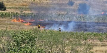 Požar kod Razgojne: Gori rastinje i poljoprivredno zemljište, na terenu vatrogasci i meštani