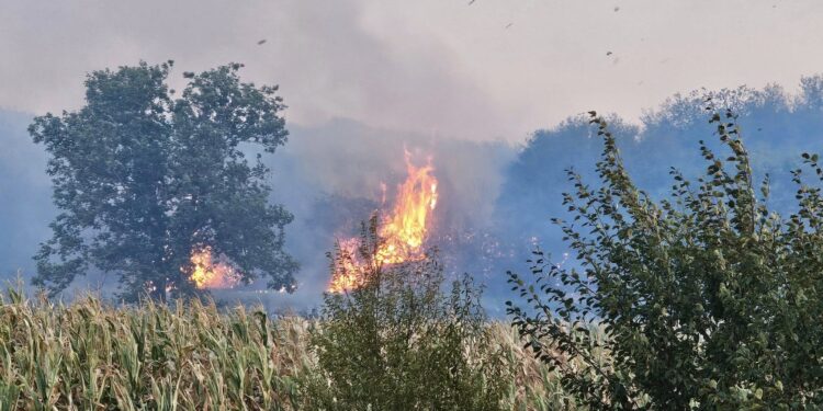 Veliki požar između Lipovice i Čekmina, vetar otežava gašenje