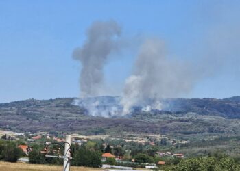 Požar kod Babičkog i dalje besni, vetar otežava gašenje