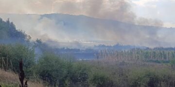 Svi požari u okollini Leskovca stavljeni pod kontrolu: Juče i sinoć gorelo u atarima 7 sela i na jednoj lokaciji u gradu