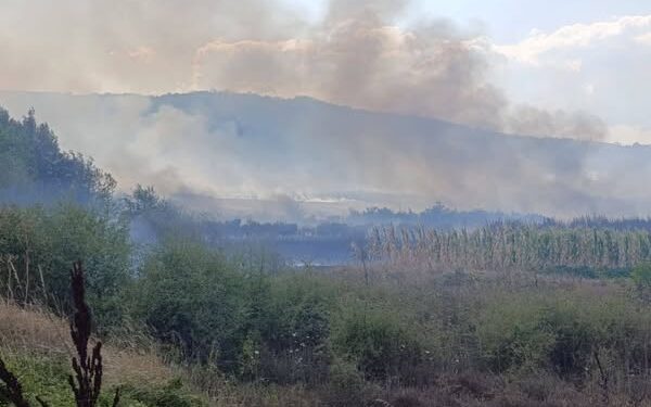 Svi požari u okollini Leskovca stavljeni pod kontrolu: Juče i sinoć gorelo u atarima 7 sela i na jednoj lokaciji u gradu
