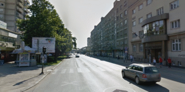 Grad Leskovac planira formiranje novog drvoreda duž Bulevara oslobođenja, to ćemo platiti skoro 2 miliona dinara