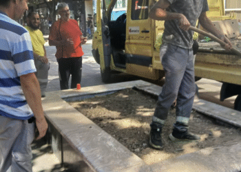 A u Prokuplju fontana postaje žardinjera