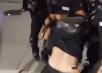 Student Veljko sa Filozofskog u Nišu, koga je Žandarmerija noćas pretukla i uhapsila, pušten iz policije