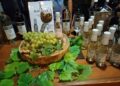 Počeo 39. Vinski bal, manifestacija u slavu grožđa i vina