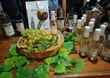 Počeo 39. Vinski bal, manifestacija u slavu grožđa i vina