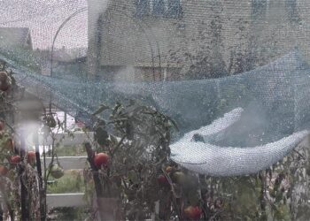 Južni deo Leskovca pogođen gradom: Za par minuta se sve zabelelo