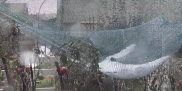 Južni deo Leskovca pogođen gradom: Za par minuta se sve zabelelo