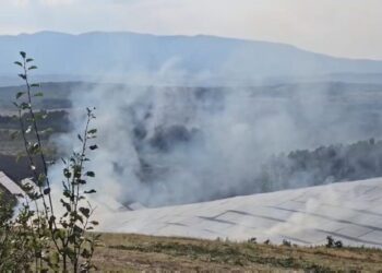 Solarni paneli u Novom Selu kod Lebana, stradali u nedavnom požaru, vlasništvo su Ivana Pantelića, poslovnog partnera predsednikovog kuma