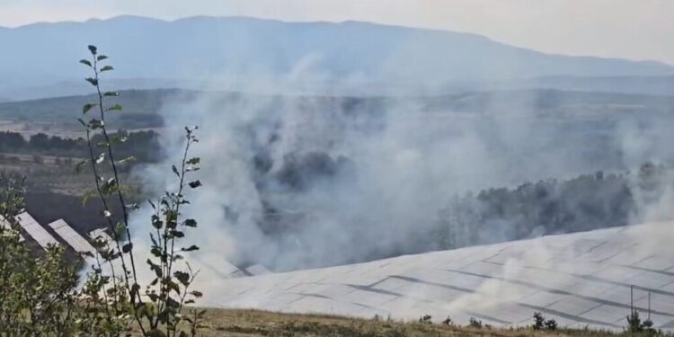 Solarni paneli u Novom Selu kod Lebana, stradali u nedavnom požaru, vlasništvo su Ivana Pantelića, poslovnog partnera predsednikovog kuma