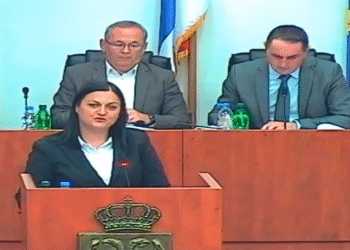 Oštra svađa u Skupštini grada Leskovca: Olivera Pešić traži uvođenje alko i narko testova
