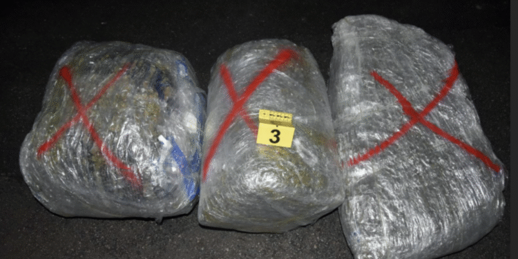 U zajedničkoj akciji policajaca iz Niša, Leskovca i Prokuplja zaplenjeno 85 kilograma marihuane