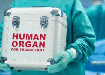 Ministarstvo zdravlja: Građani Srbije će, o trošku države, uskoro moći na transplantaciju organa u Belorusiju