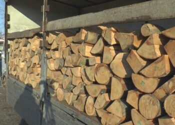 Srbijašume snizile cene ogrevnog drveta: Različiti popusti za različite kategorije