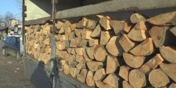 Srbijašume snizile cene ogrevnog drveta: Različiti popusti za različite kategorije