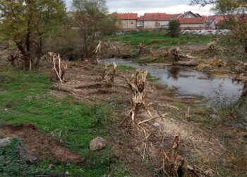 Ko je i zašto masakrirao drveće u priobalju Jablanice u Vinarcu ?
