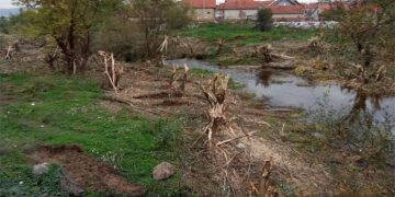 Ko je i zašto masakrirao drveće u priobalju Jablanice u Vinarcu ?