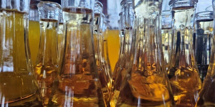 Vina, piva i najveći deo rakija u Srbiji, bezbedni za upotrebu: Problem su deklaracije i oznake