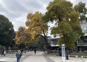 Stanovnici Toplice žive najkraće u južnoj Srbiji, najduži životni vek u Crnoj Travi, a evo koliko dugo žive Leskovčani