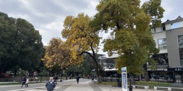 Stanovnici Toplice žive najkraće u južnoj Srbiji, najduži životni vek u Crnoj Travi, a evo koliko dugo žive Leskovčani