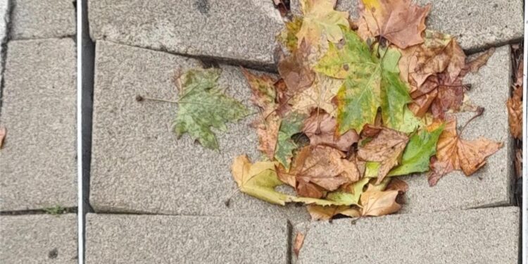 Nije do izvođača radova, do naše (ne) kulture je: Već oštećene novopostavljene ploče na Širokoj čaršiji