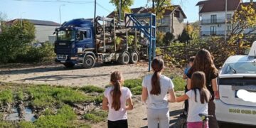 Nestala hladovina i dečji smeh: U naselju Rade Žunić posečeno svo drveće oko igrališta